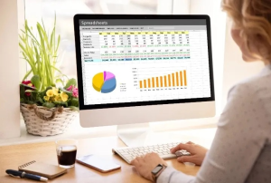 Persona utilizando una hoja de cálculo en ordenador para gestionar gastos y presupuesto, con gráficos y tablas de control financiero en España